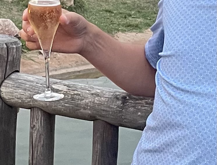 Profil de Yuki, 48 ans, Escort TS France à Rouillon
