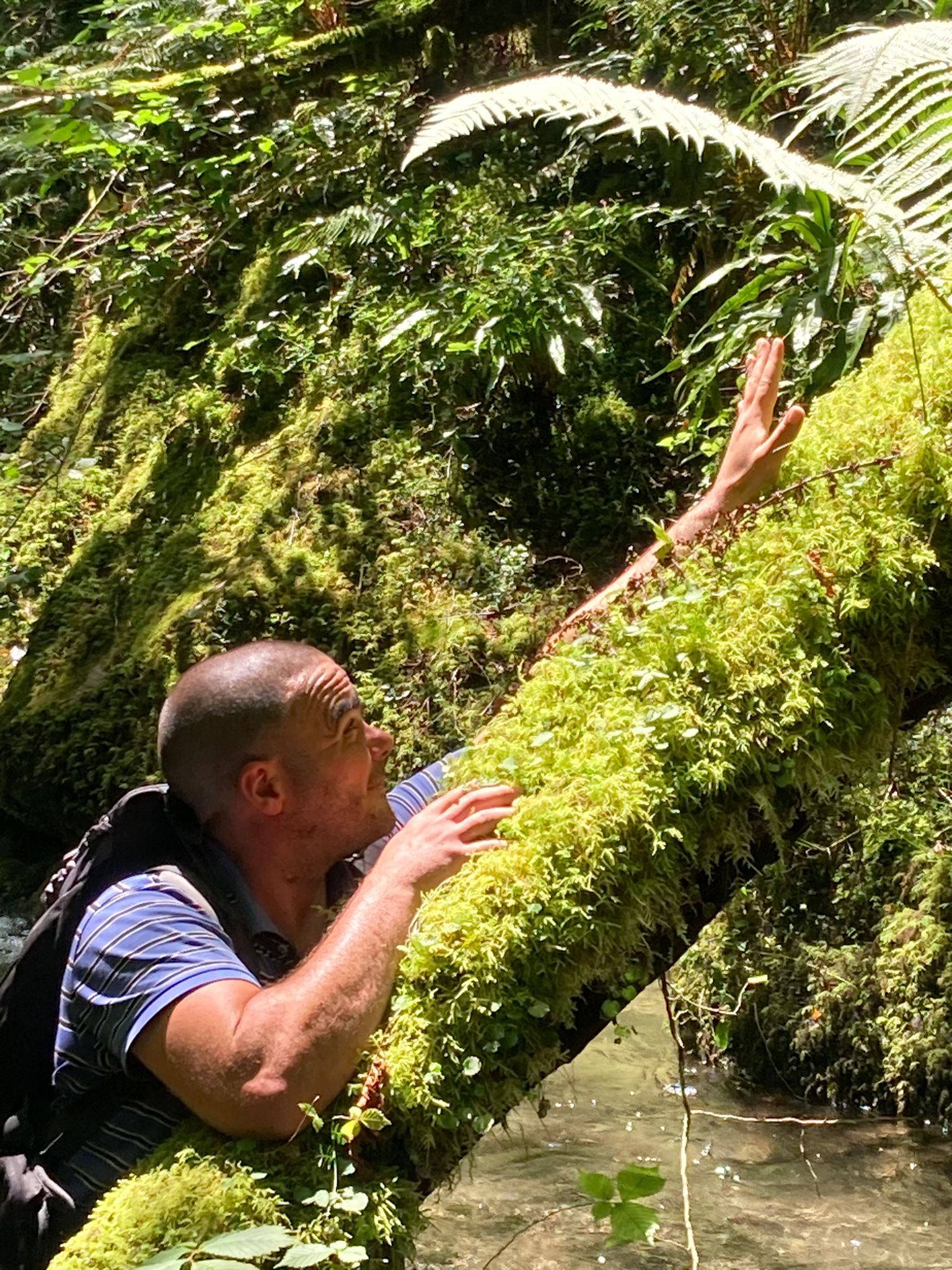 Profil de Alejandro, 41 ans, Escort TS France à Pouy-de-Touges