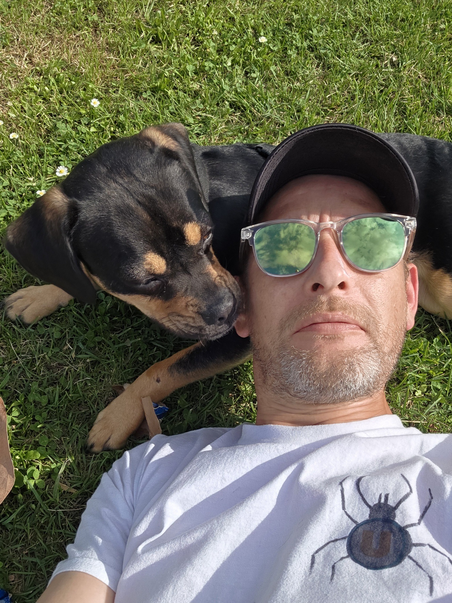 Profil de Yves-alexandre, 42 ans, Escort TS France à Vallabrix